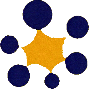 Family Inclusion Network logo