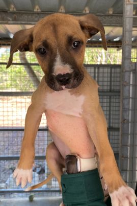 https://www.townsville.qld.gov.au/__data/assets/image/0011/333002/A69704.jpeg