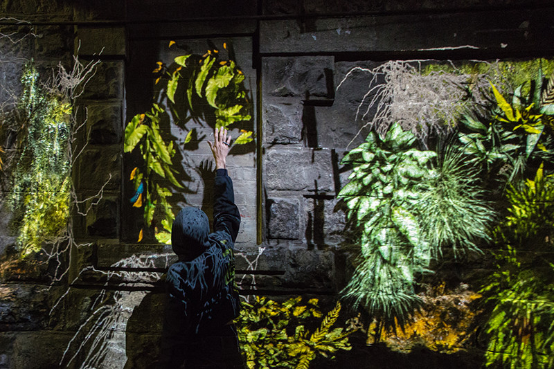 Human Effect - Yandell.  Interactive Projection Installation.  Various dimensions
