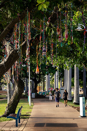 Whispering Vines by Fibres and Fabrics at Ephemera 2023. Photo by Andrew Rankin