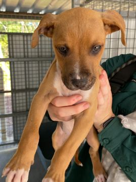 https://www.townsville.qld.gov.au/__data/assets/image/0012/333003/A69703.jpeg