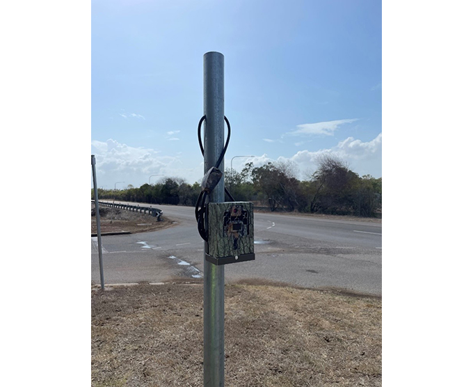 A trail camera used to monitor wildlife