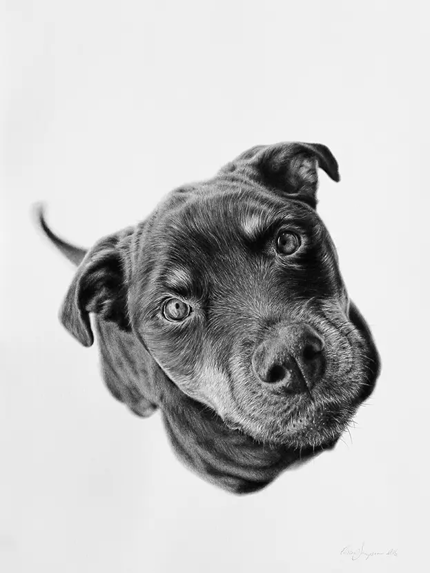 Elissa Sampson, Unconditional, 2016