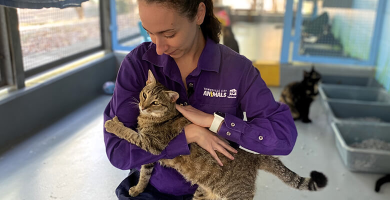 Council’s Coordinator Programs & Vet Clinic Fiona Carmelito with Poppy, who is among the cats and kittens available for adoption as part of Council’s Animal Care and Adoption Centre Spring Cat Sale.