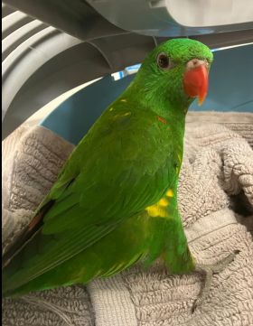 https://www.townsville.qld.gov.au/__data/assets/image/0015/274110/A65767.jpeg