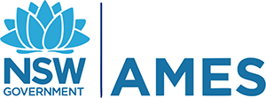 AMES logo