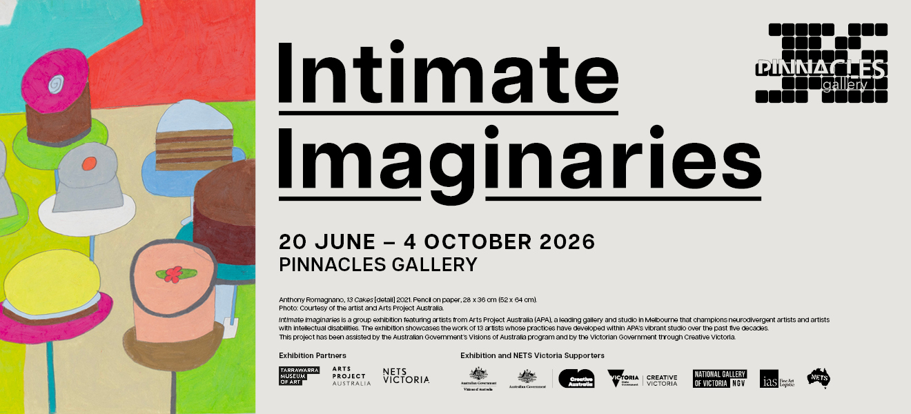Intimate Imaginaries