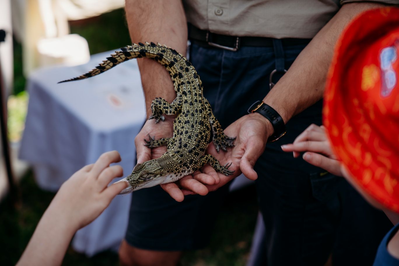 Children meet a baby crocodile at Billabong Sanctuary’s stall at Eco Fiesta