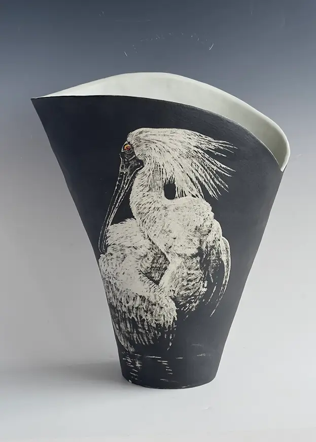 Meredith Baillie, Royal Spoonbill