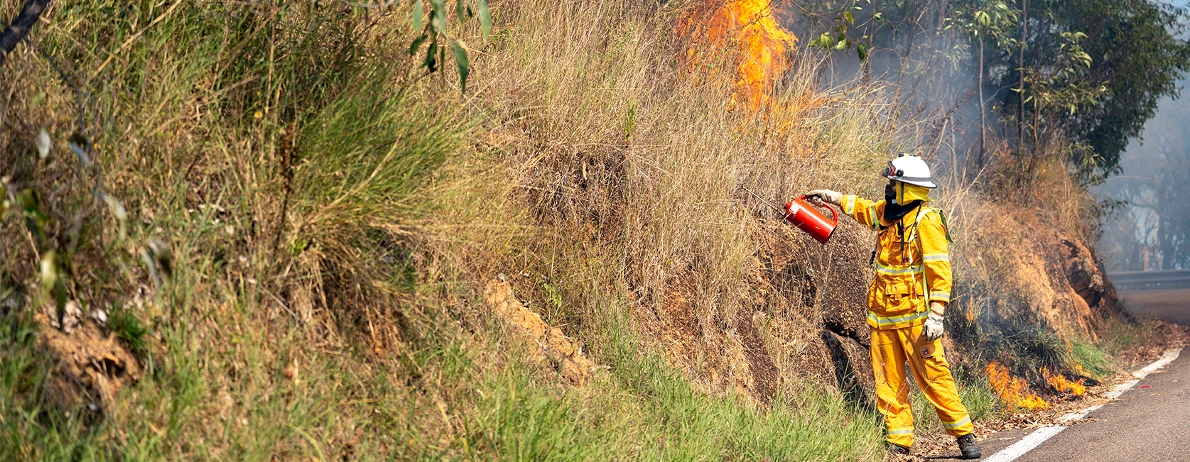 Bushfire Resilience Amendment