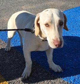 https://www.townsville.qld.gov.au/__data/assets/image/0018/333072/a67886.jpg