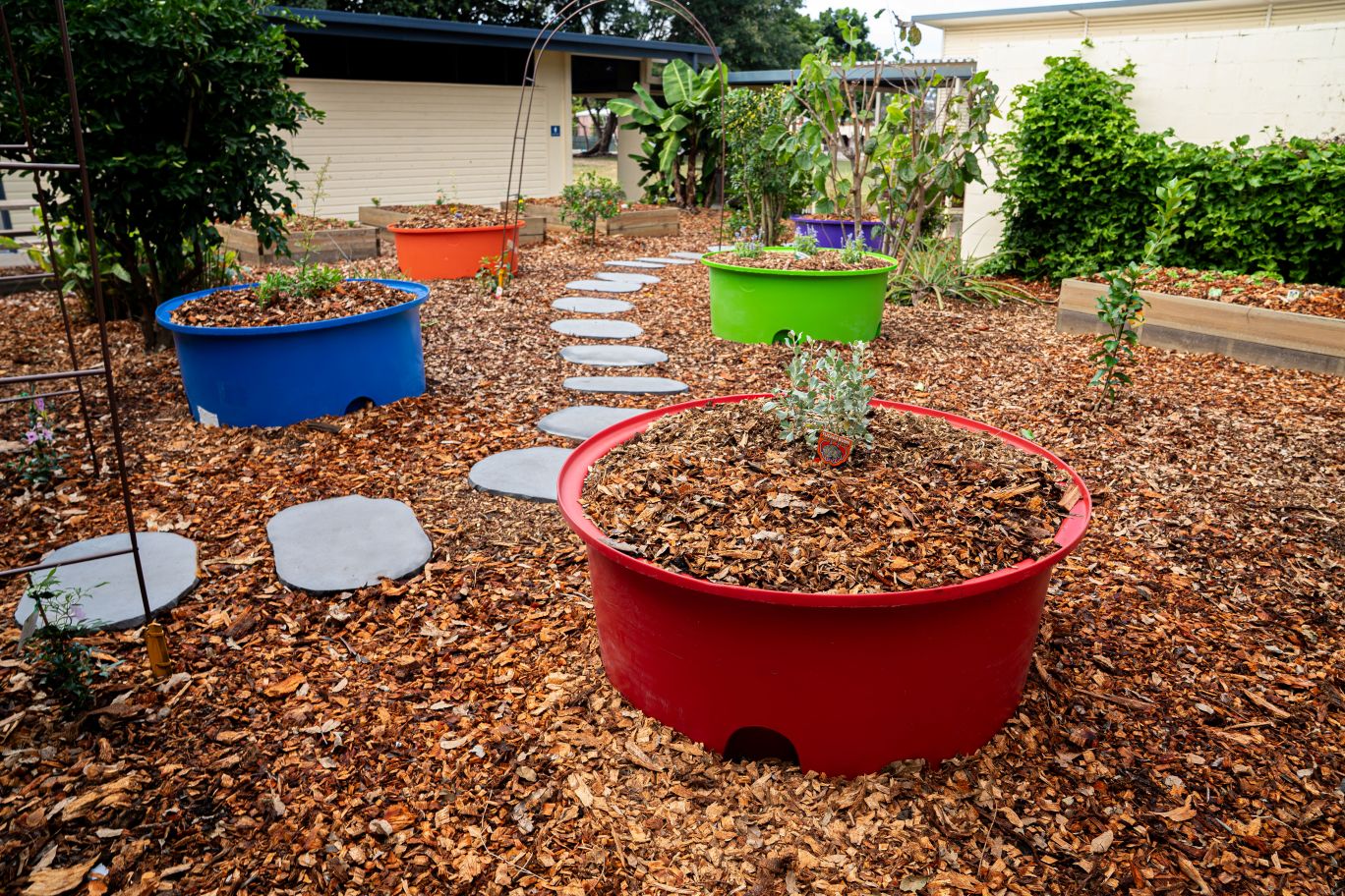 Townsville South State School garden.