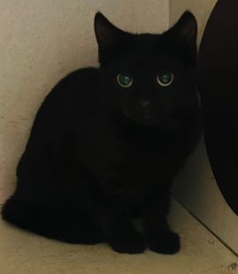 https://www.townsville.qld.gov.au/__data/assets/image/0019/335134/A65314Photo.jpeg