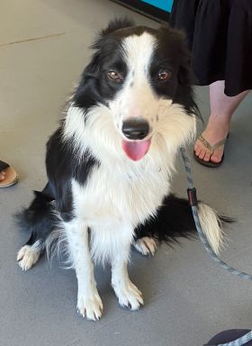 https://www.townsville.qld.gov.au/__data/assets/image/0020/276113/A66200.JPG