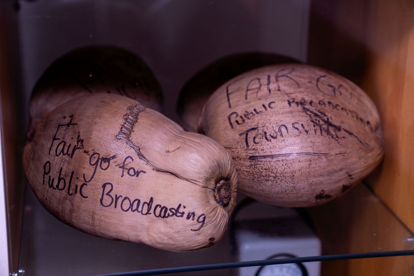 Replicas of the coconuts sent to Canberra by the Townsville FM Broadcasting Society.