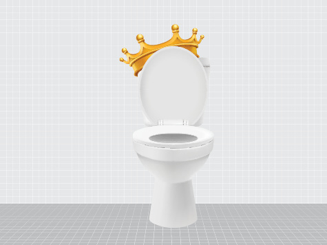 A toilet wearing a crown, Are You a Loo Legend?