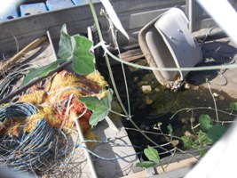 Boats will collect water and breed mosquitoes unlesstipped upside down or the bungs removed
