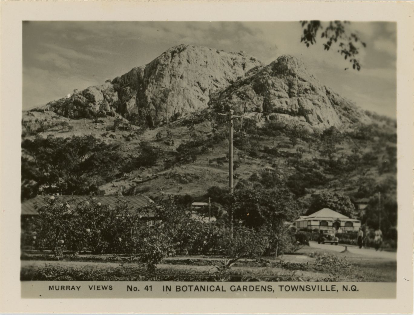 An early 20th century photograph of Queens Gardens' rose, with Castle Hill in the background