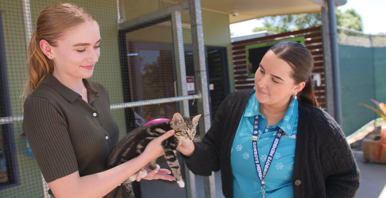 Microchipping - Cat Microchipping-Cat