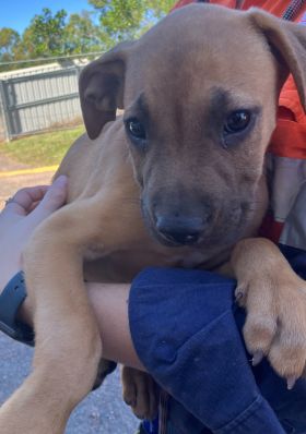https://www.townsville.qld.gov.au/__data/assets/image/0021/276114/A64567.jpeg