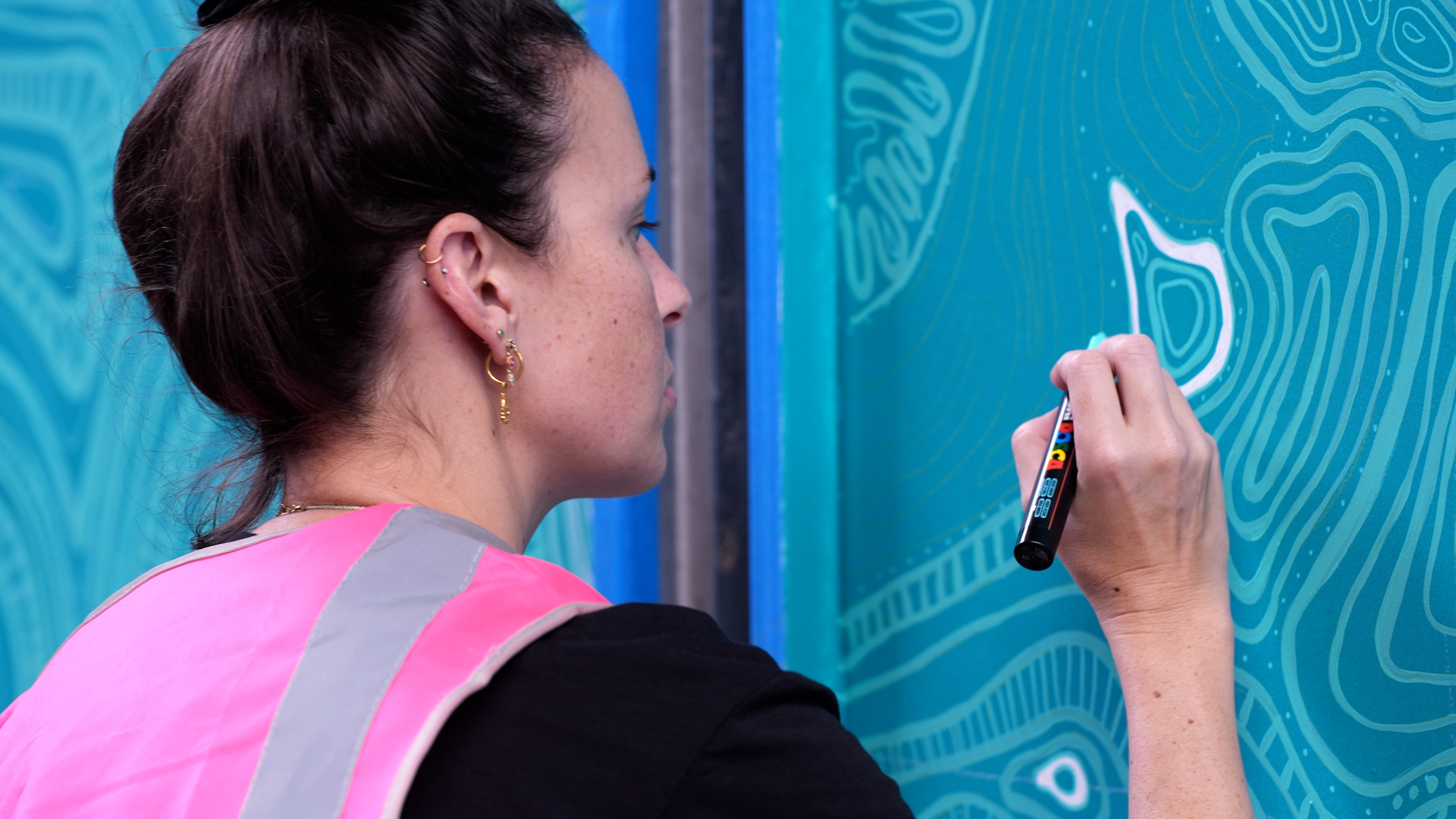 Townsville's natural world celebrated in new city murals