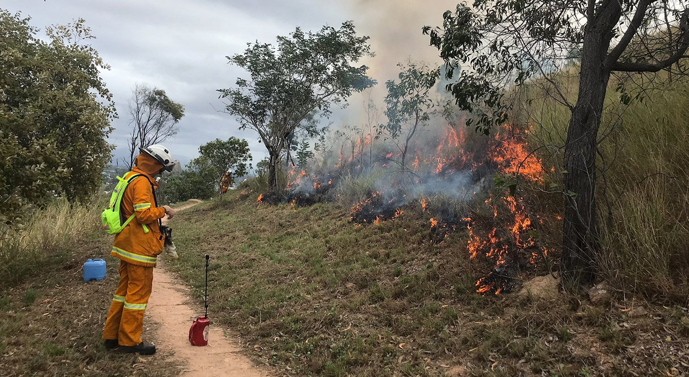 Council team members undertaking a hazard reduction burn