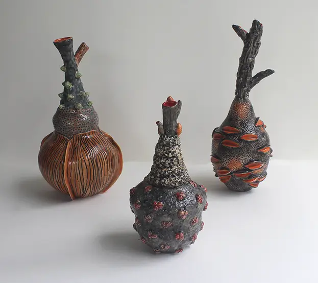 Carol Forster, Life Cycle of Plants