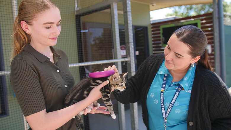 Work experience student Alyssa Phelan and Lara Coombe from the Animal Care and Adoption Centre check for a microchip in a kitten