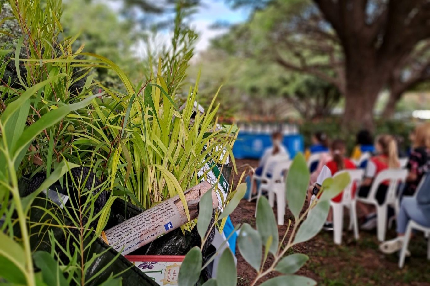 Each participating school will receive plants, tools and materials to use in their garden. 