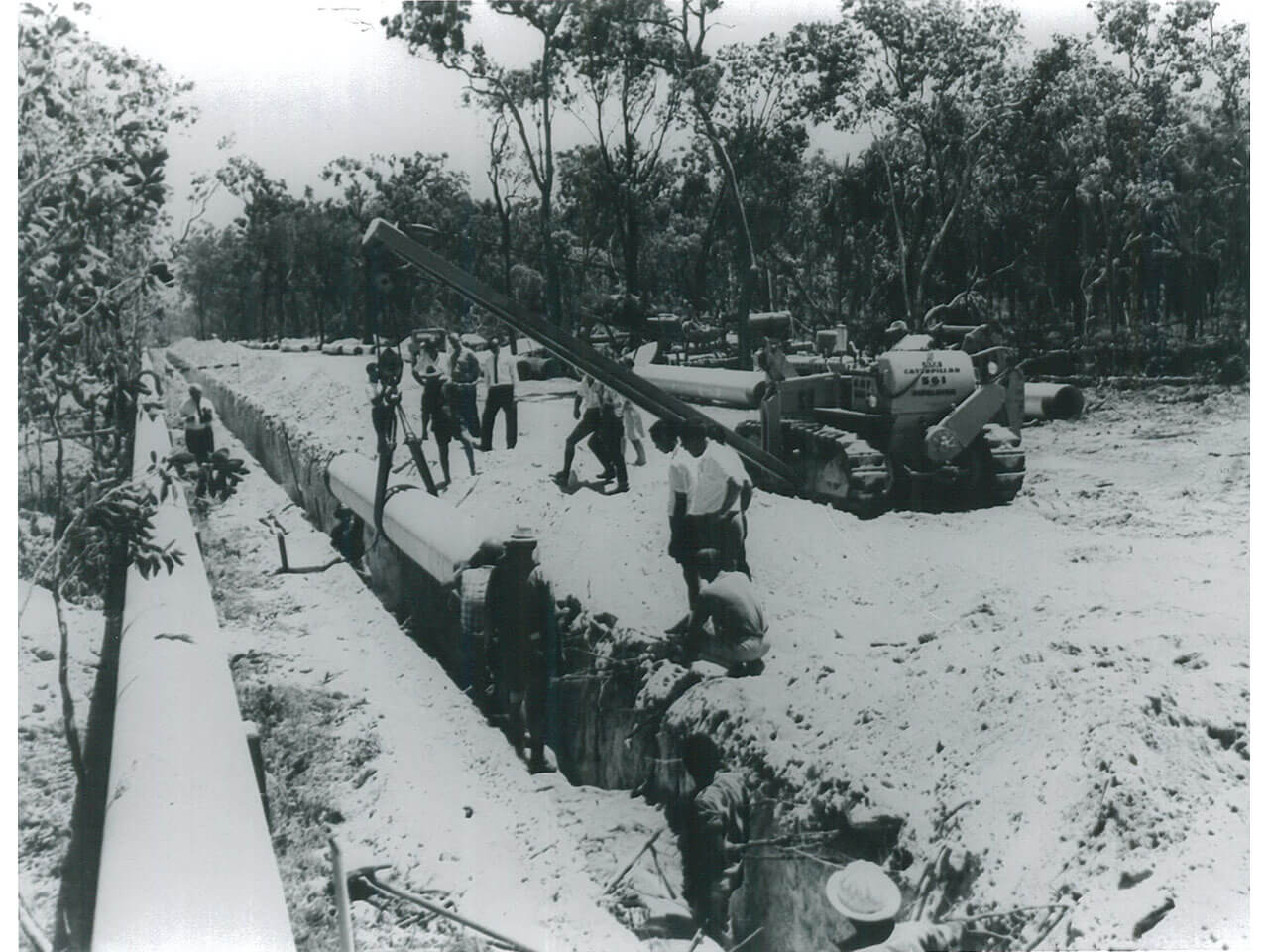 Paluma Dam - Clearing for Mt Spec pipeline (1958)