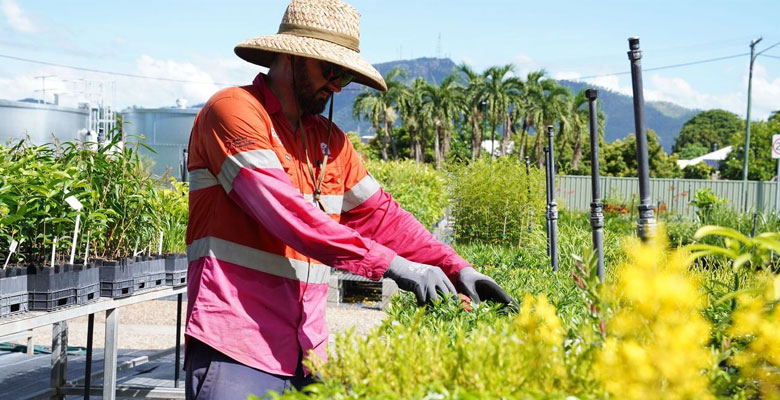 Council’s Dry Tropics Nursery’s Josh Draper preparing plants to be given out to community members at Eco Fiesta.