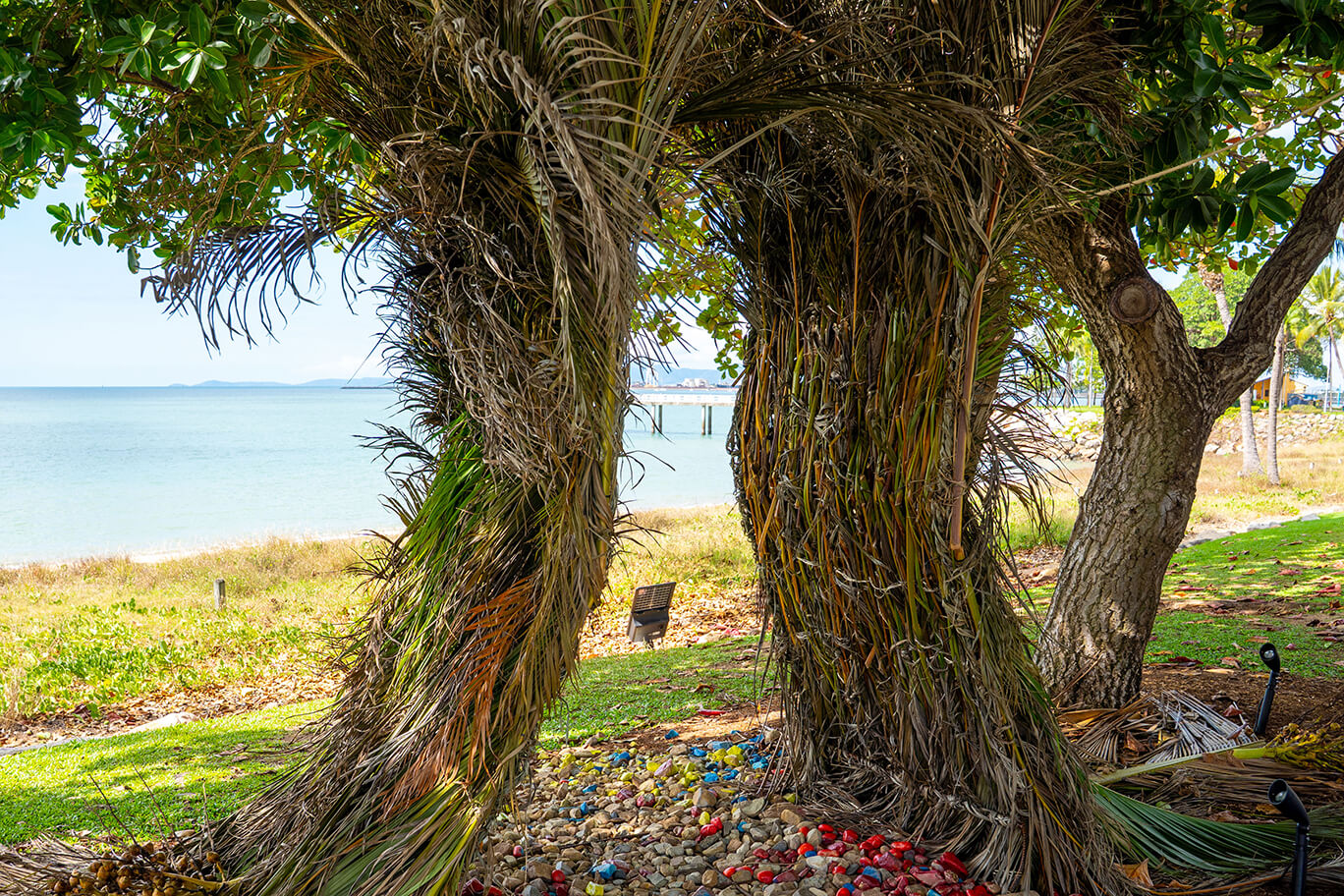 Bower bird nest with steel, she oak, palm, grass, and pebbles