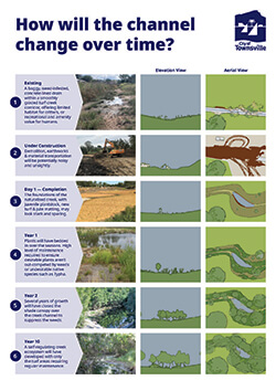 Thumbnail of Bushland Beach Channel Naturalisation Factsheet