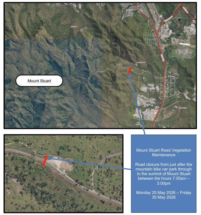 Mount Stuart Road Vegetation Maintenance
