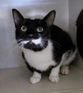https://www.townsville.qld.gov.au/__data/assets/image/0024/325545/A67617.jpg
