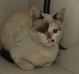 https://www.townsville.qld.gov.au/__data/assets/image/0024/336732/A69264Photo.jpeg