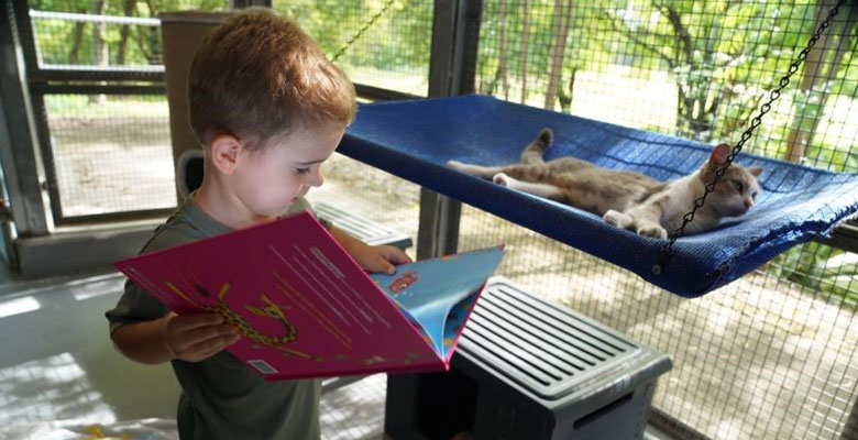 Darcy Noonan reads to a kitten at the Animal Care and Adoption Centre ahead of Council’s Reading to Pets sessions.