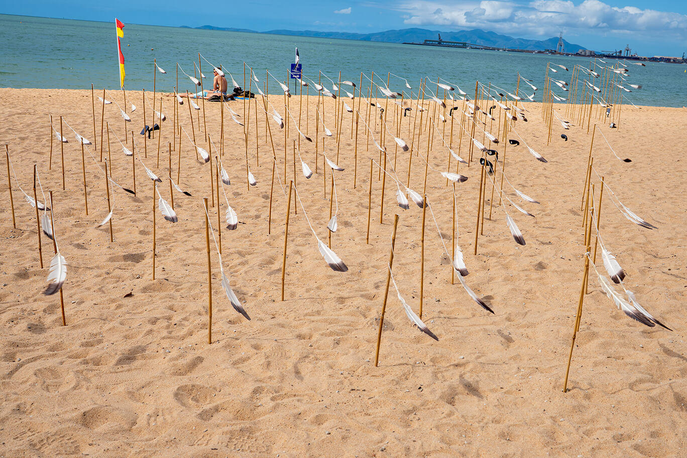 Shore bird feathers attached with string to bamboo poles