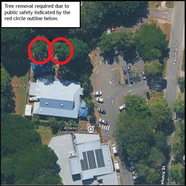 Location of the tree removal