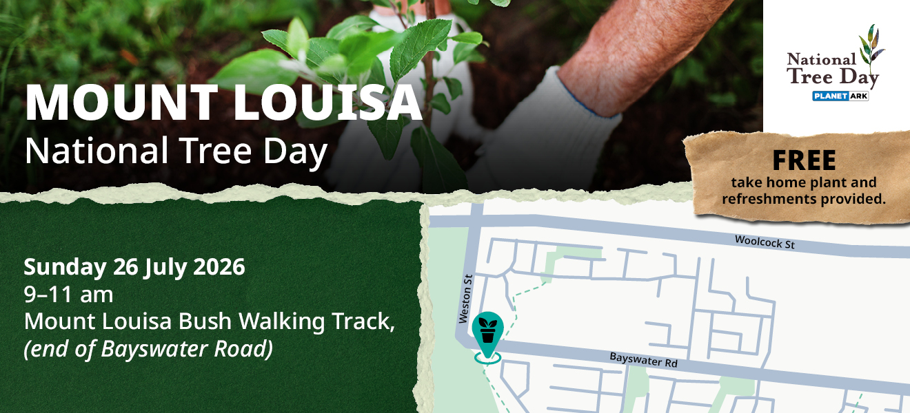 Mount Louisa National Tree Day