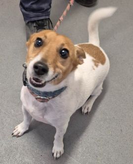 https://www.townsville.qld.gov.au/__data/assets/image/0025/336760/20260901_124844.jpg
