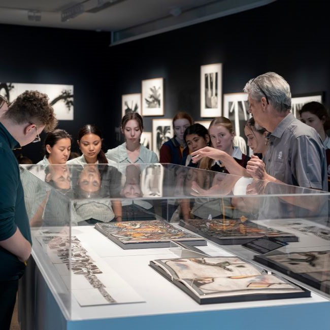 Illuminate 2024 with artists Alison McDonald and Jacqueline Scotcher, Pinnacles Gallery