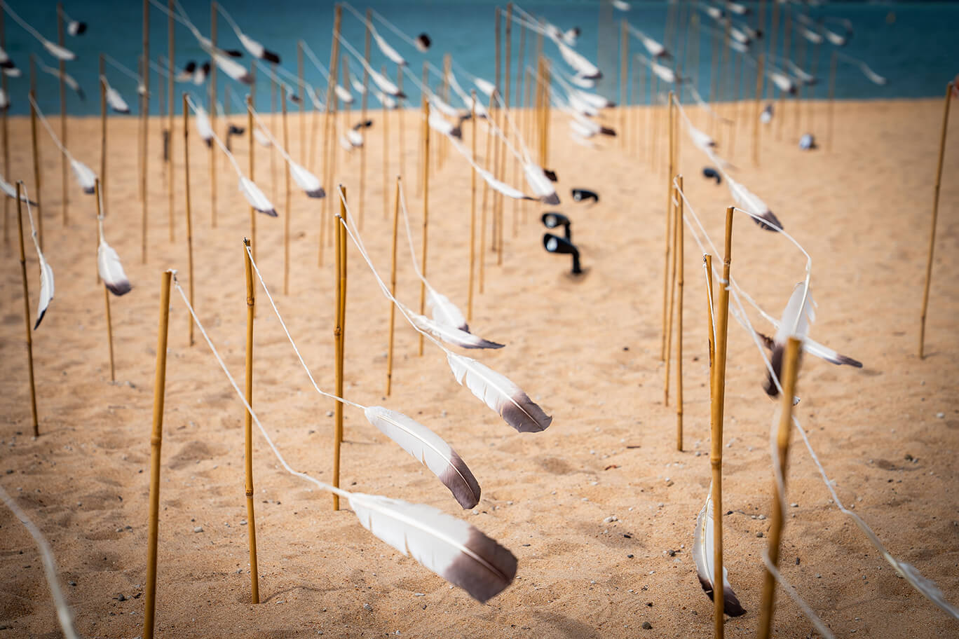 Shore bird feathers attached with string to bamboo poles