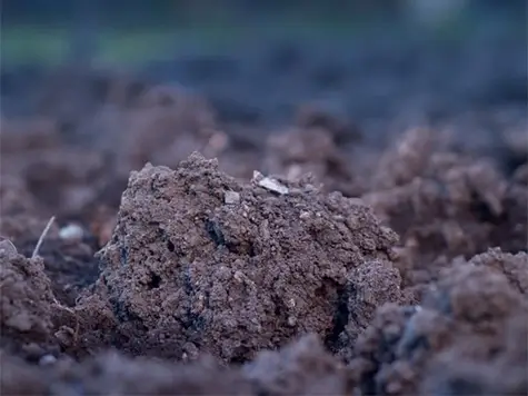 Soil on the ground
