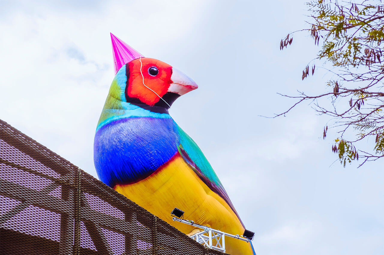 The Messengers of Townsville artwork will land in the city for NAFA this July. PIC: SUPPLIED/URBAN ART PROJECTS