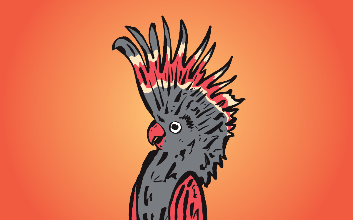 Animated cockatoo
