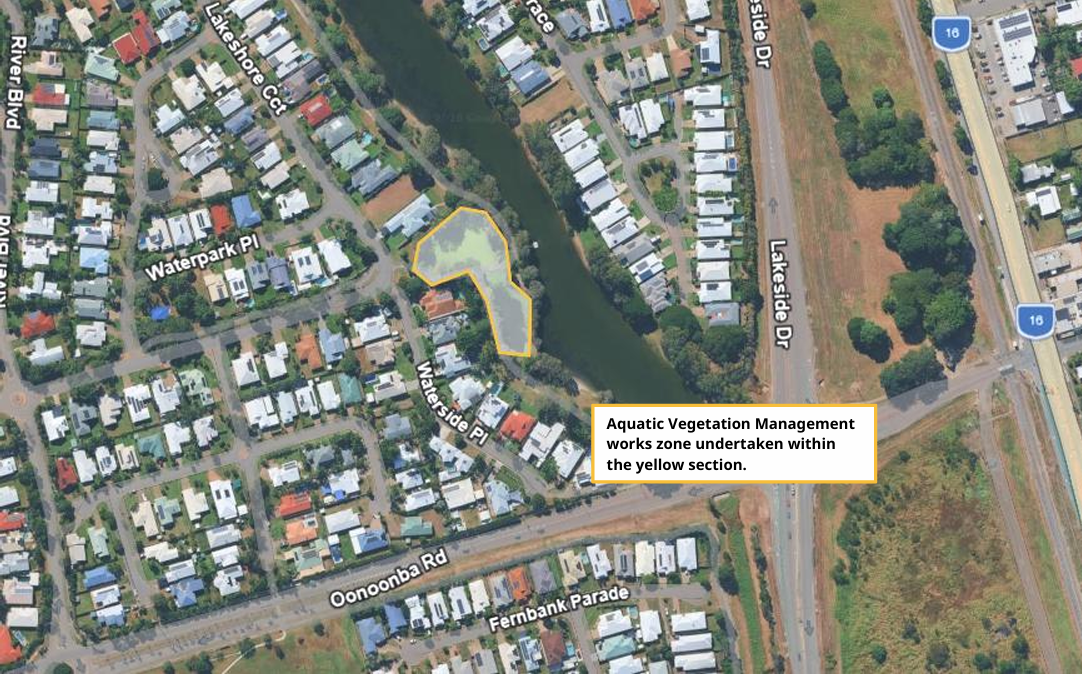 Aquatic Vegetation works Idalia