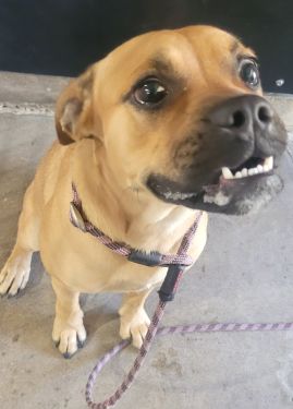 https://www.townsville.qld.gov.au/__data/assets/image/0027/325548/A67621.jpg