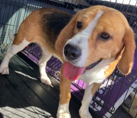 https://www.townsville.qld.gov.au/__data/assets/image/0027/325575/A60895.jpeg