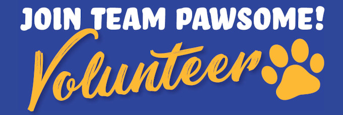 Download Animal Care and Adoption Centre Volunteer Registration Form PDF Join Team Pawsome! Volunteer
